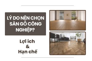 Lý do nên chọn sàn gỗ công nghiệp? Lợi ích và hạn chế