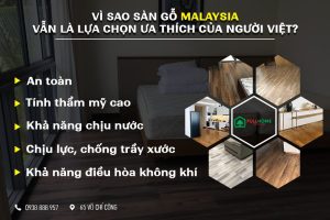 Vì sao sàn gỗ Malaysia vẫn là lựa chọn số 1 của người Việt ?